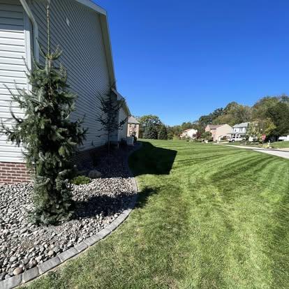 Striped green lawn beside a gravel garden bed with paver edging and an evergreen tree along the home.