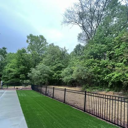 Black metal picket fence separating a green lawn and sidewalk from a wooded tree line.