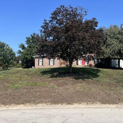 Brick home on a landscaped slope with a large purple-leaf tree and fresh mulch around the plantings.