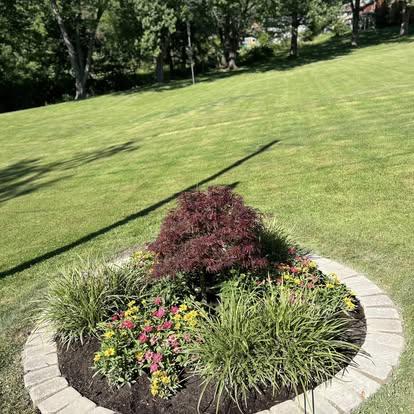 Circular island garden with paver edging, a red Japanese maple, ornamental grasses, and pink and yellow flowers.