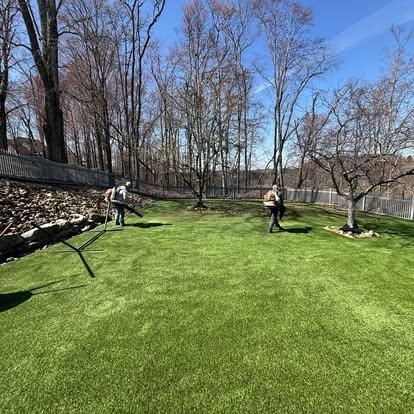 Seasonal landscape cleanup in front yard